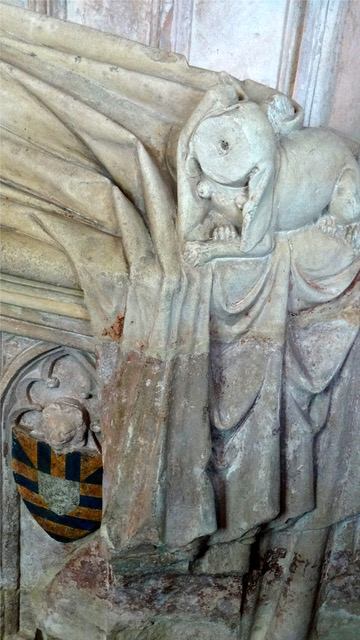 51377343716_4fb70b70ba_5k