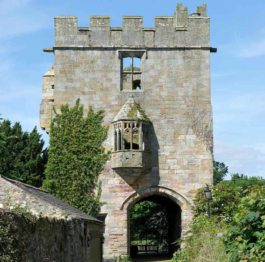 This image has an empty alt attribute; its file name is image-5.jpeg